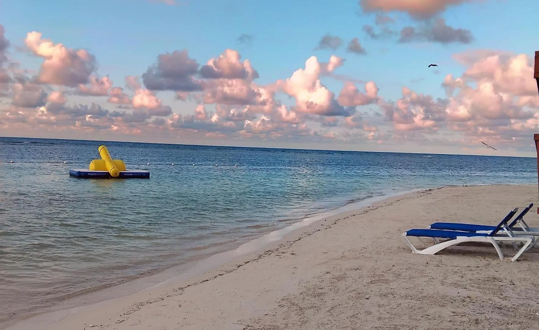 Pensionat Comfy Apartments Montego Bay